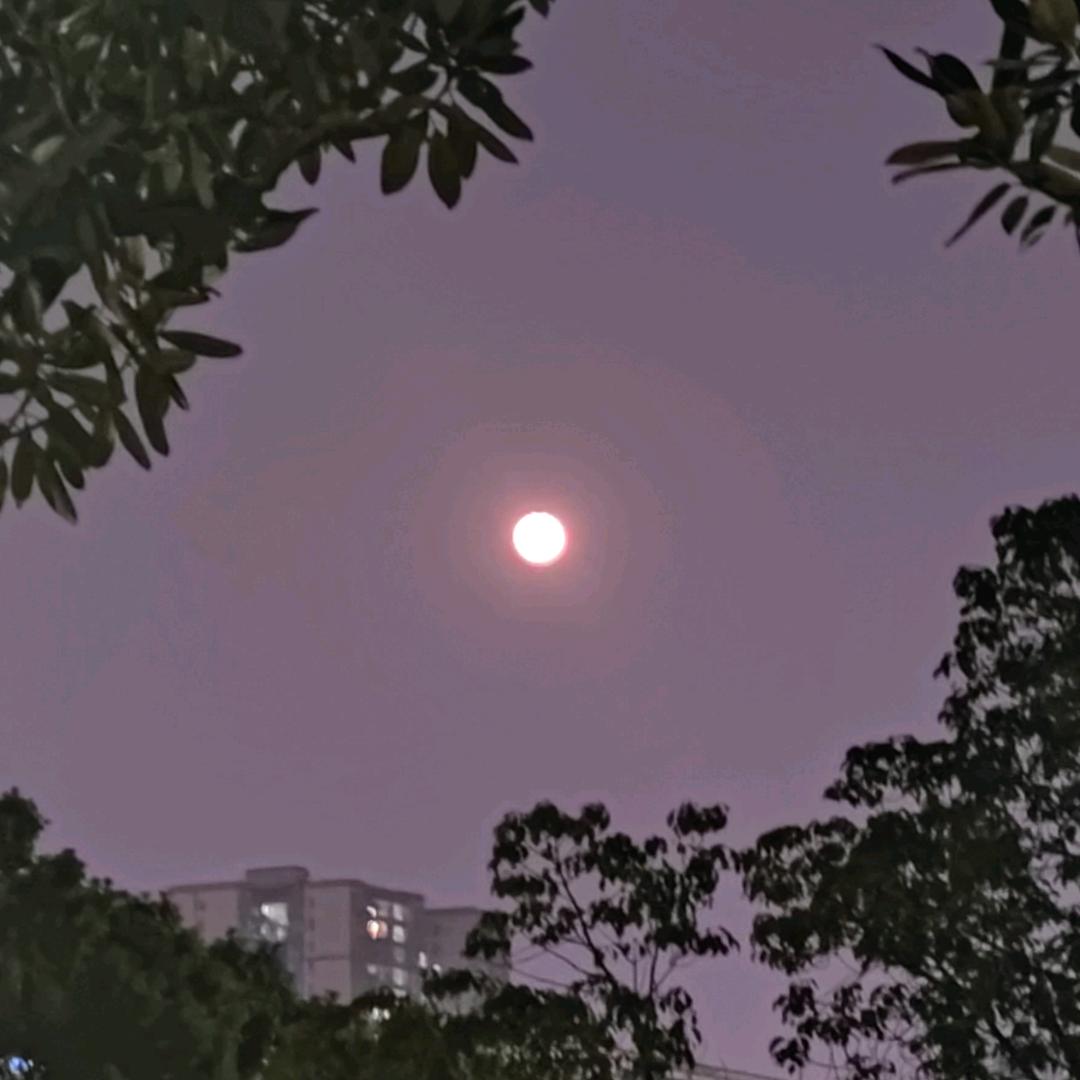 橘色海峡（六年之约）