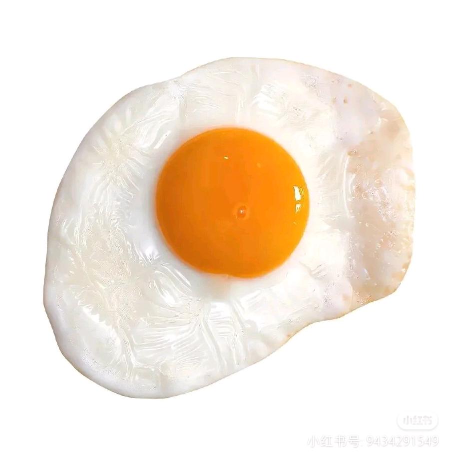 森林不迷路