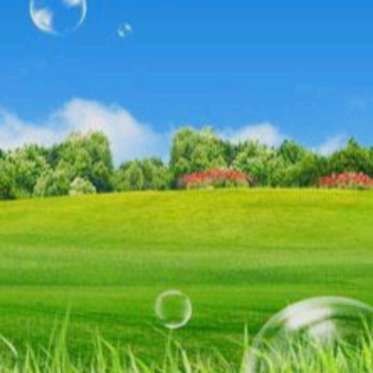 淡淡的心情，，，