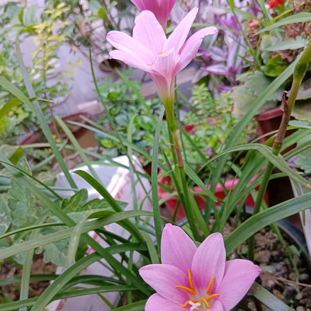 风行水上自然成文