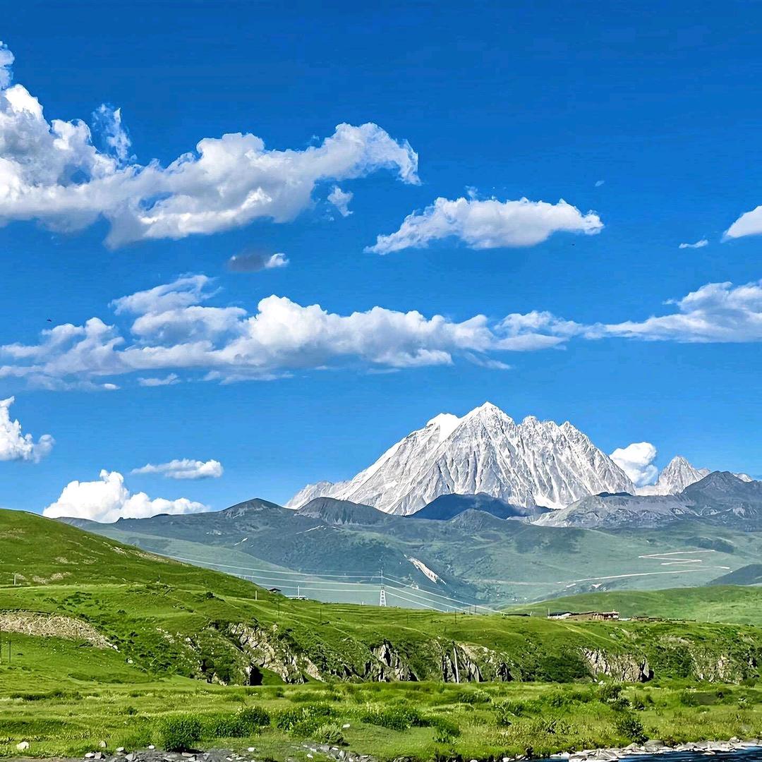 增诚名酒仲束-宣仪12-直播号