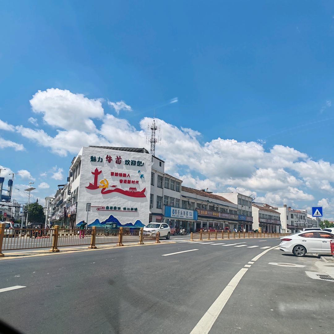 小小蚂蚁🐜搬运工