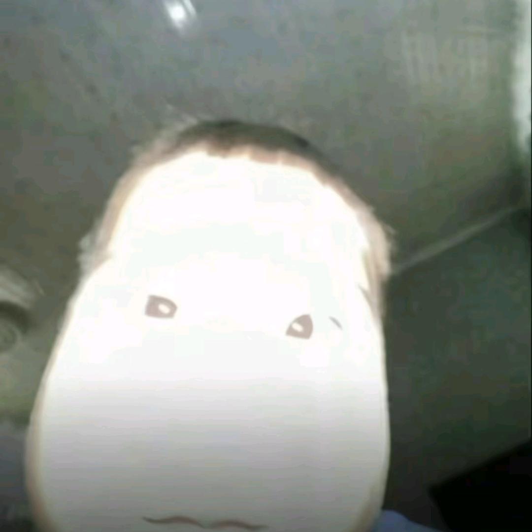 我不是迪迦