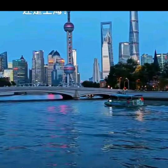 今生最爱。🐕👑👑👑