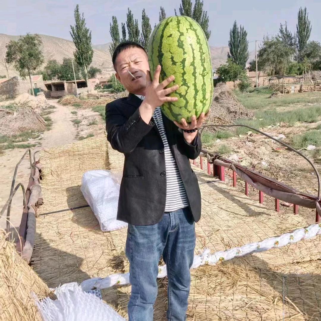 大荔二哥