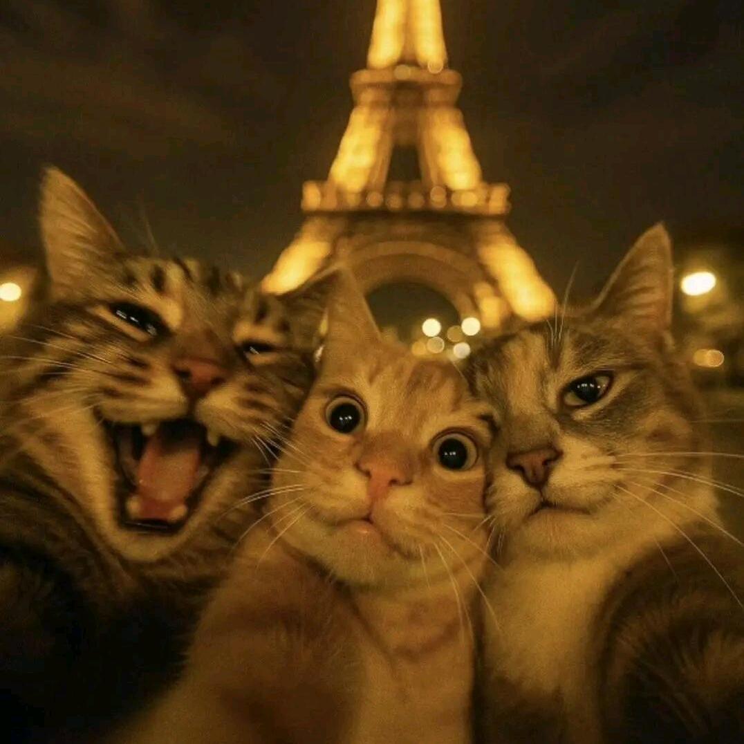 苦涩也是一种味道