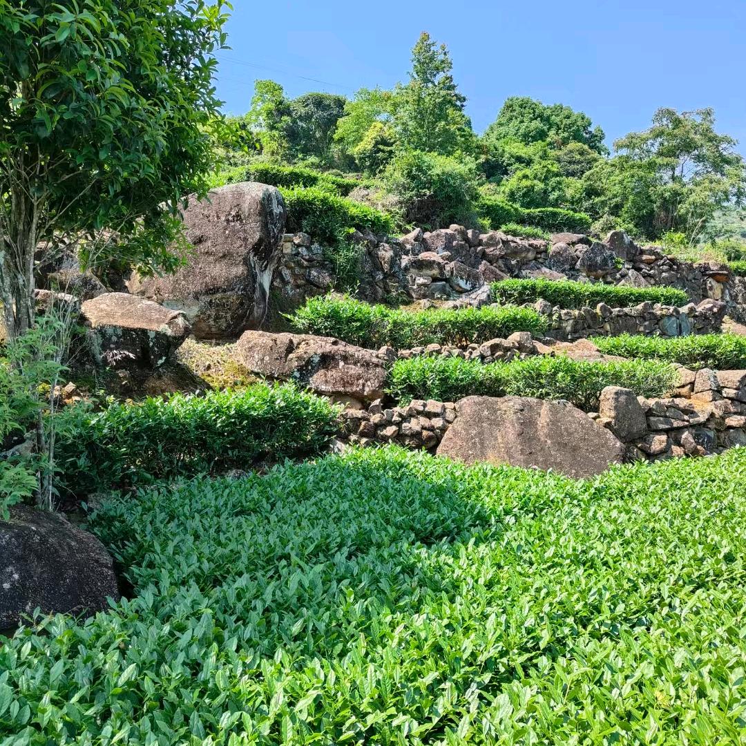 城府