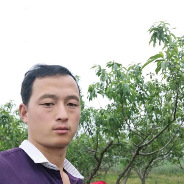 河南华羽鸽业