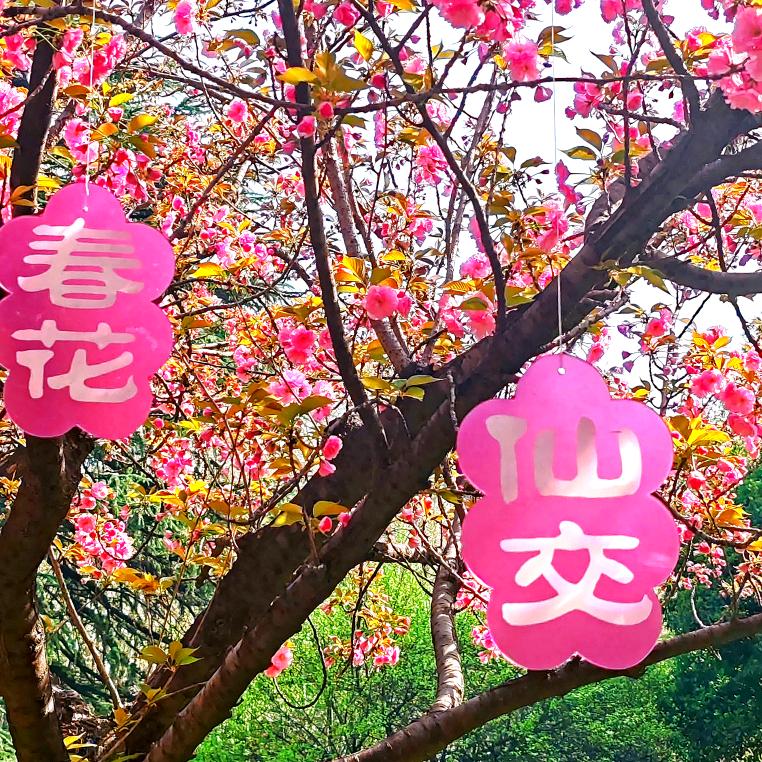 四月脱单是你谎言