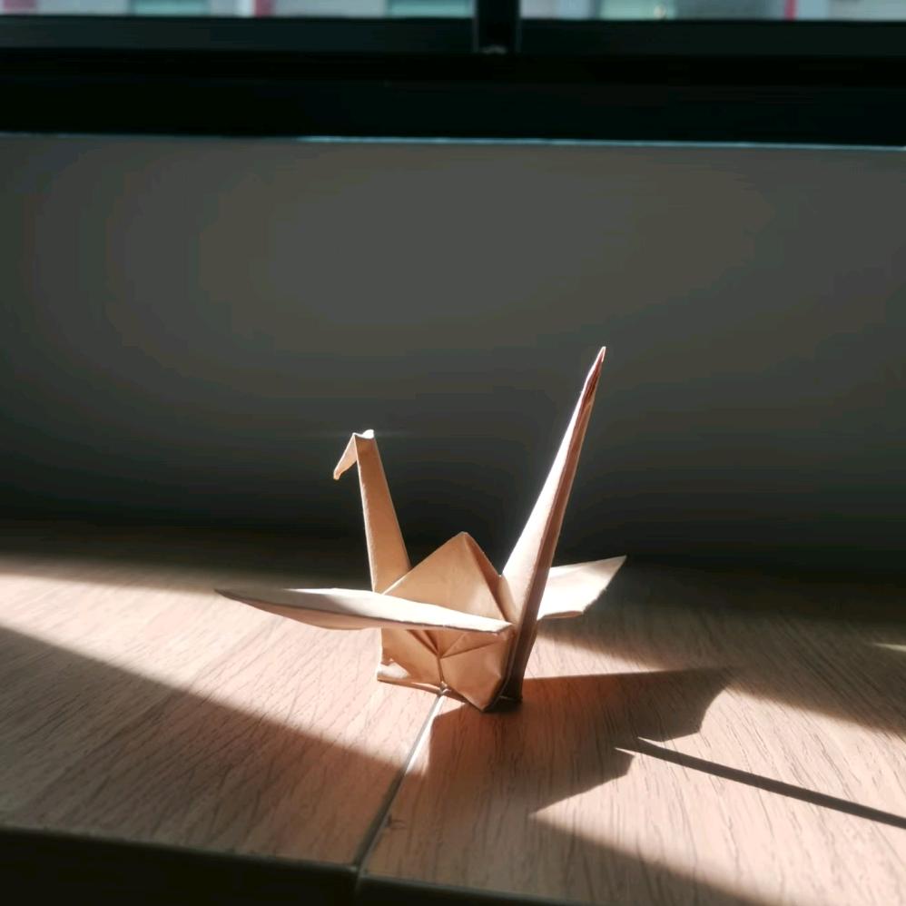 xiaoxiao1000