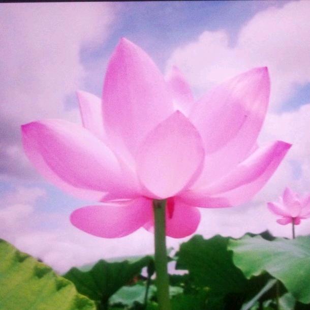 (>﹏<)幸福一家人