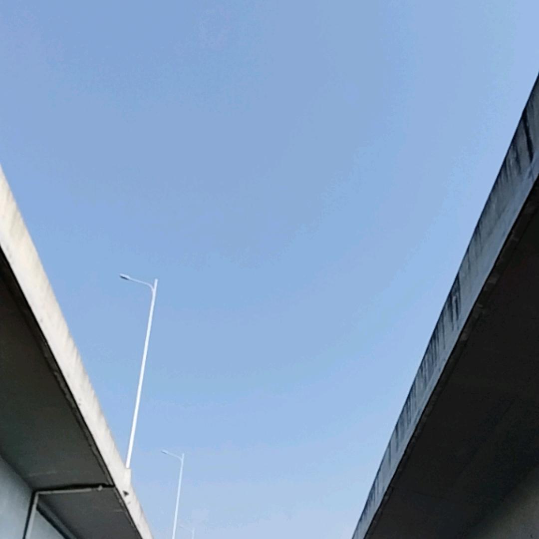 沉默的羔羊
