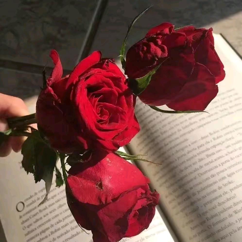 好运连连万事如意！