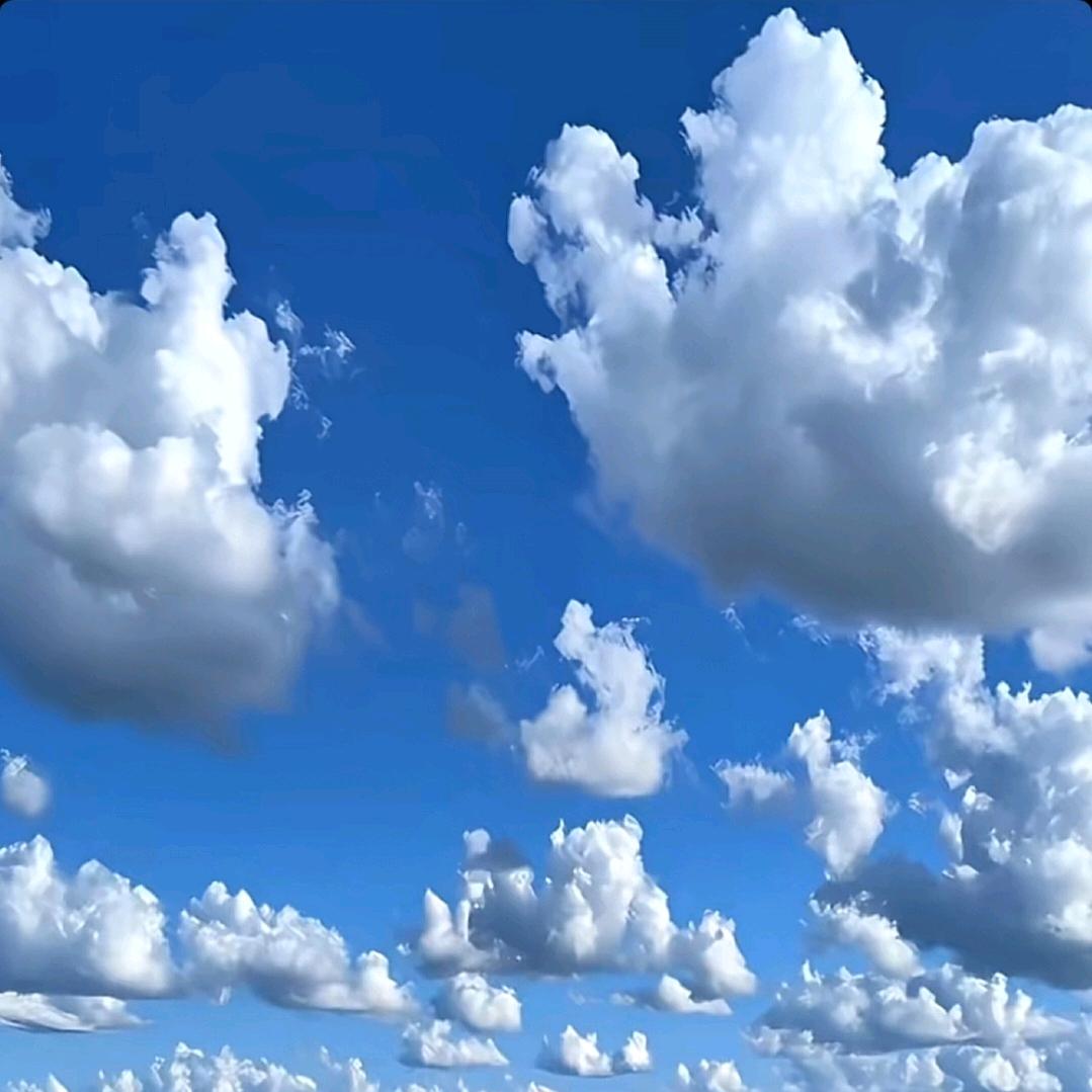 清沐浅