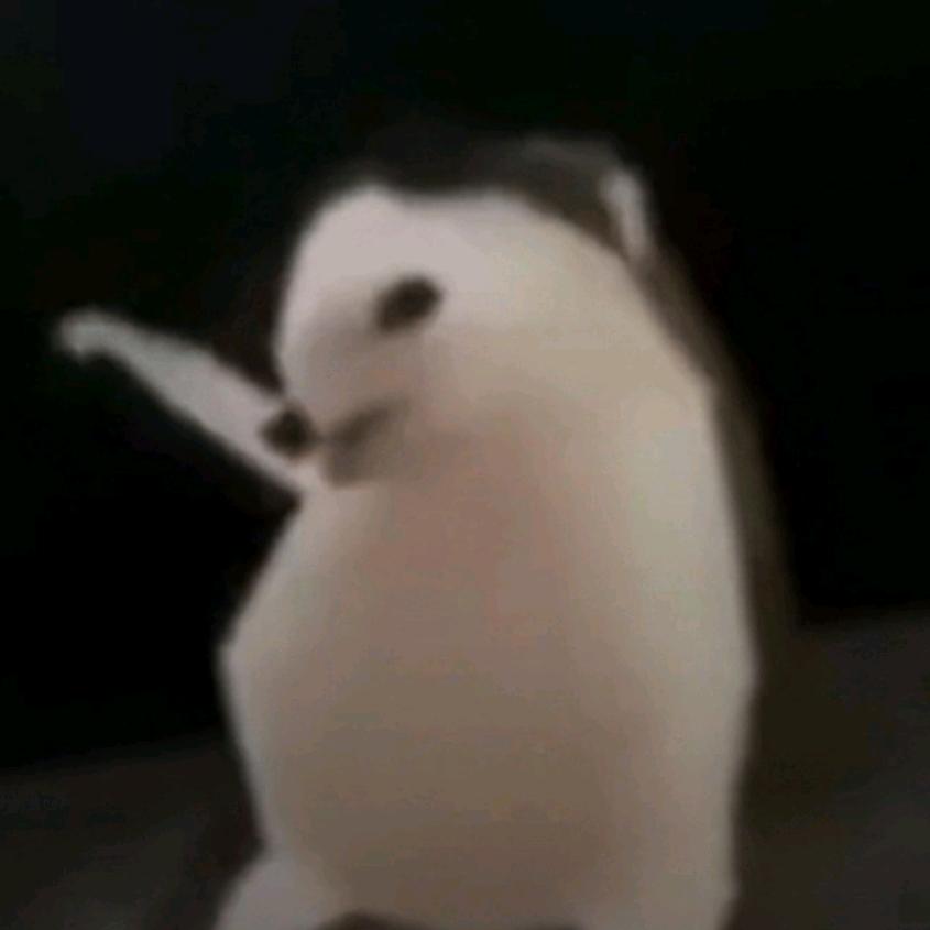 纯情老男人