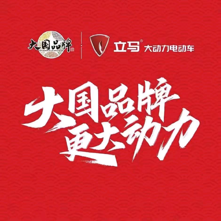 汝州虎头立马电动车