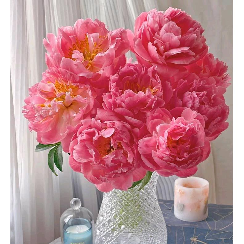 斗南鹏泰鲜花批发