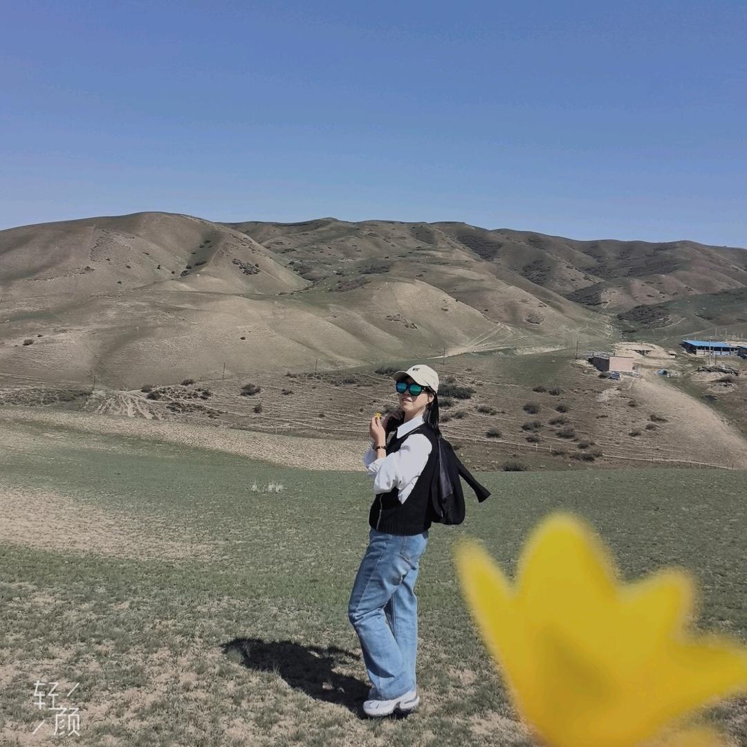 电子秤，压面机批发，陈霞