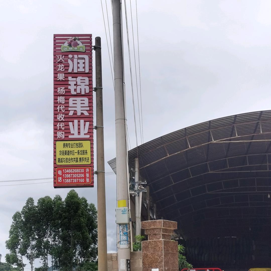 润锦果业水果供应商梅子