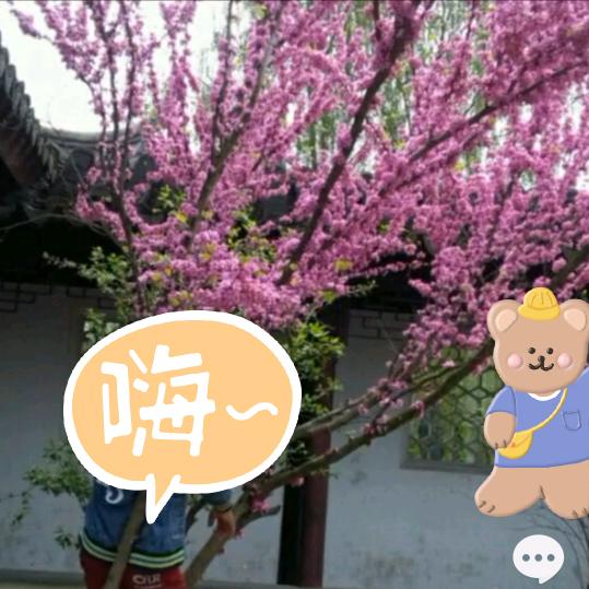 魔湖的蒋年年  头像