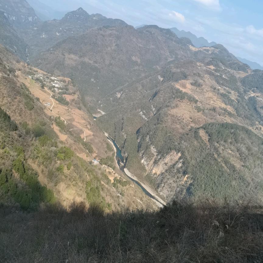 何家欢乐