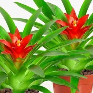 心平气和一切都好🐰