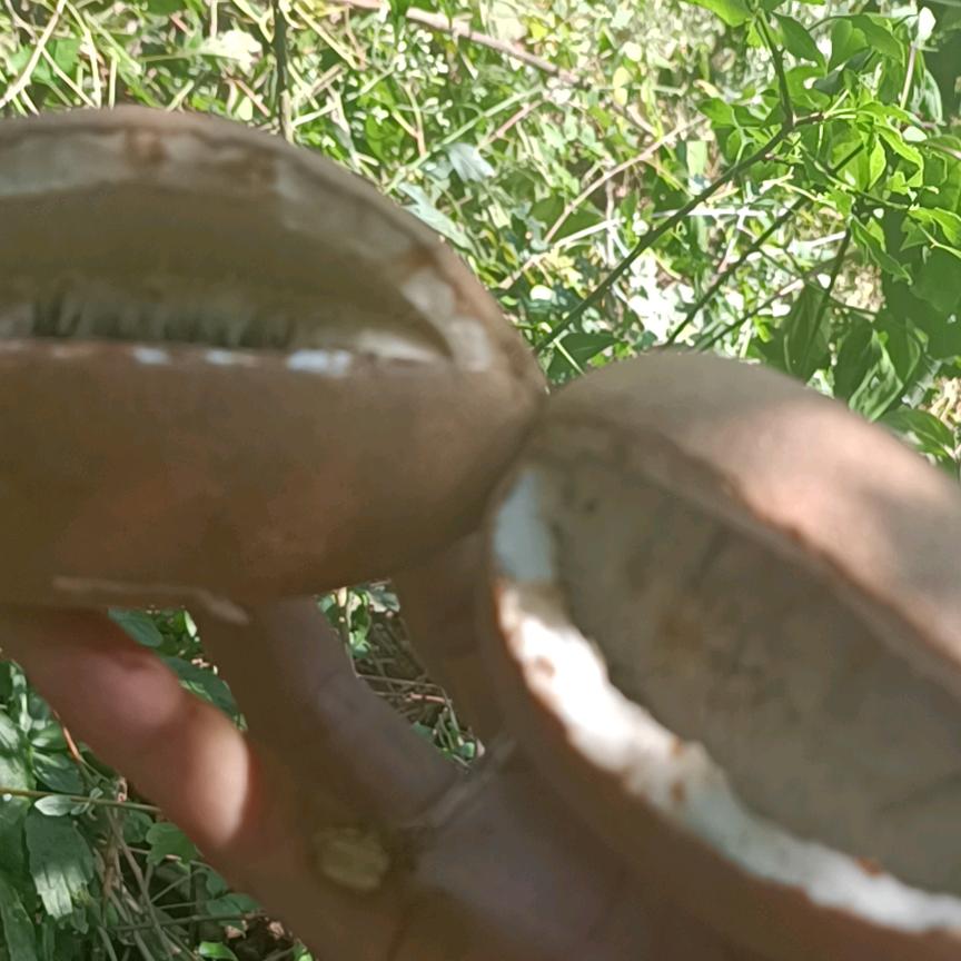 醉後一麵