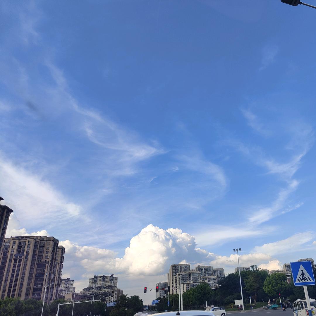 观南🦋