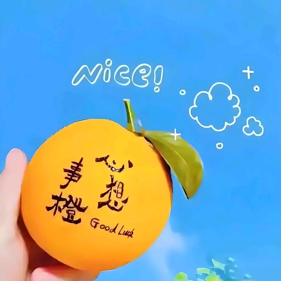 🌸燕子