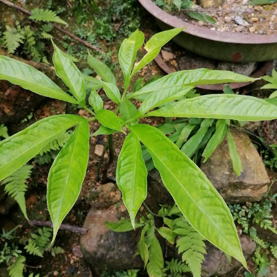 百忍无忧