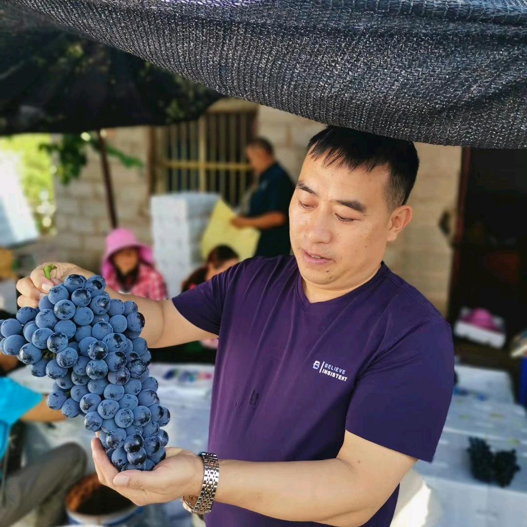 地康源祥哥盐碱地克星