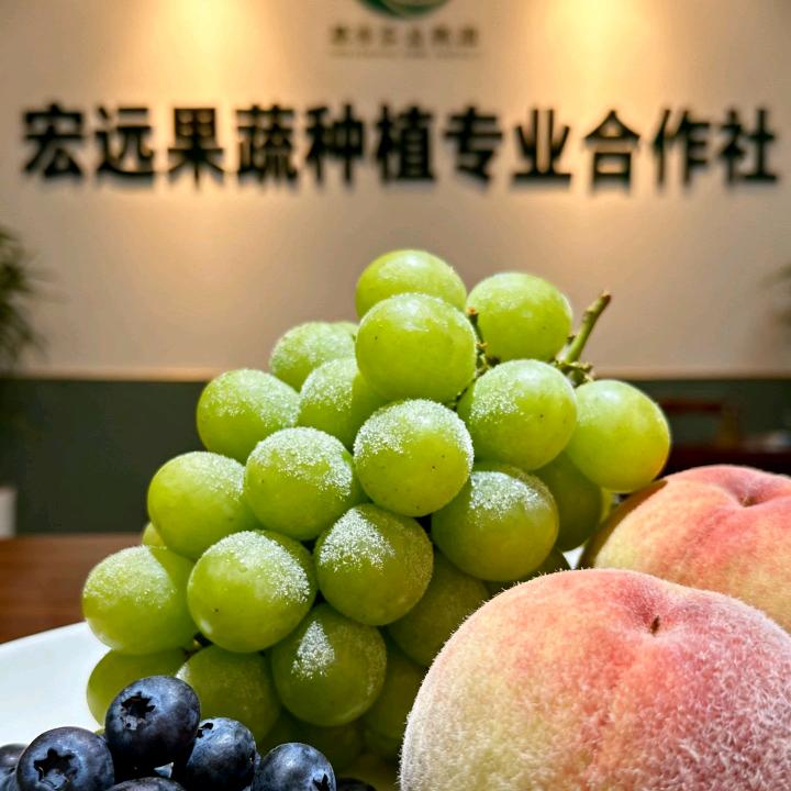 山东莒县宏远果蔬购销中心