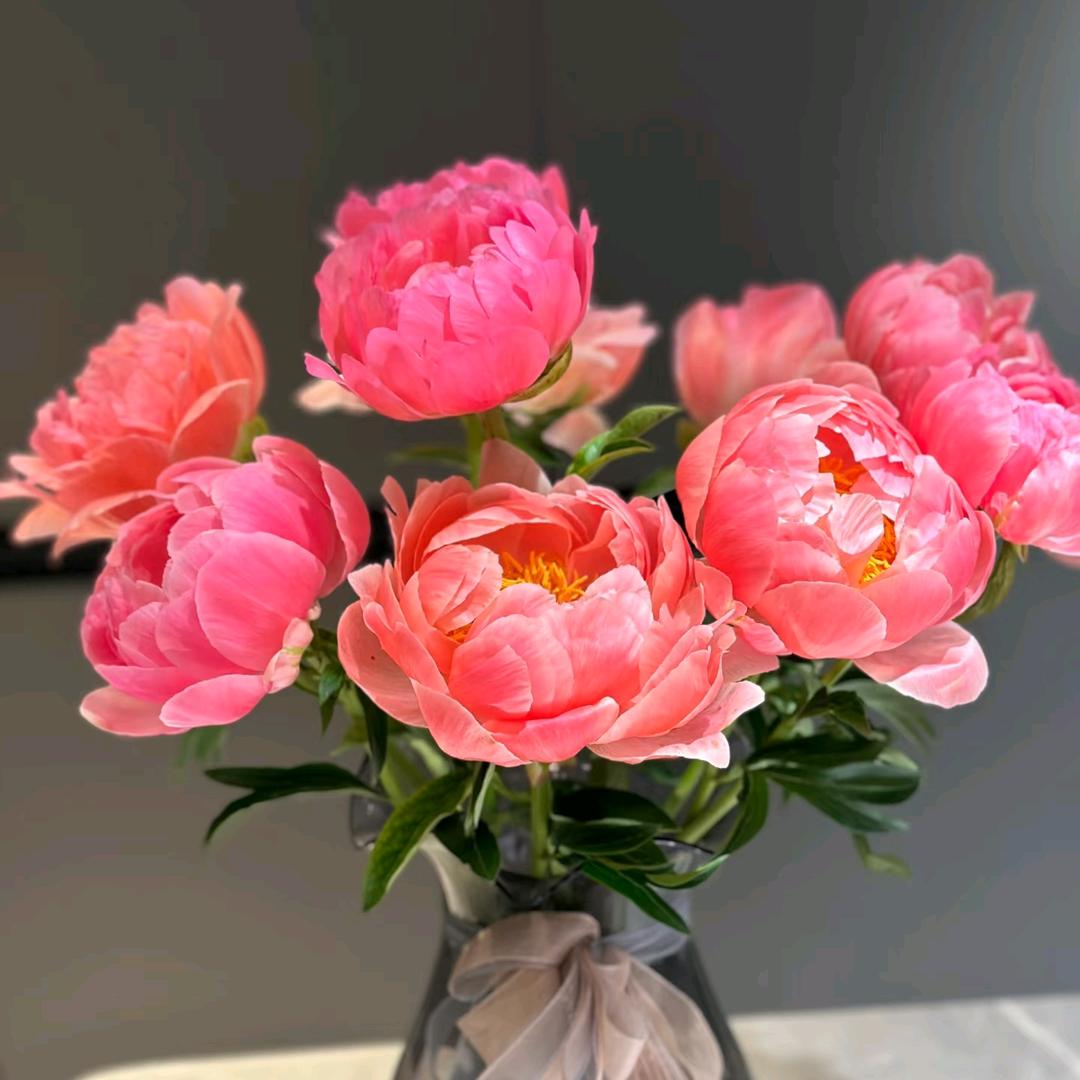 菏泽睿林牡丹