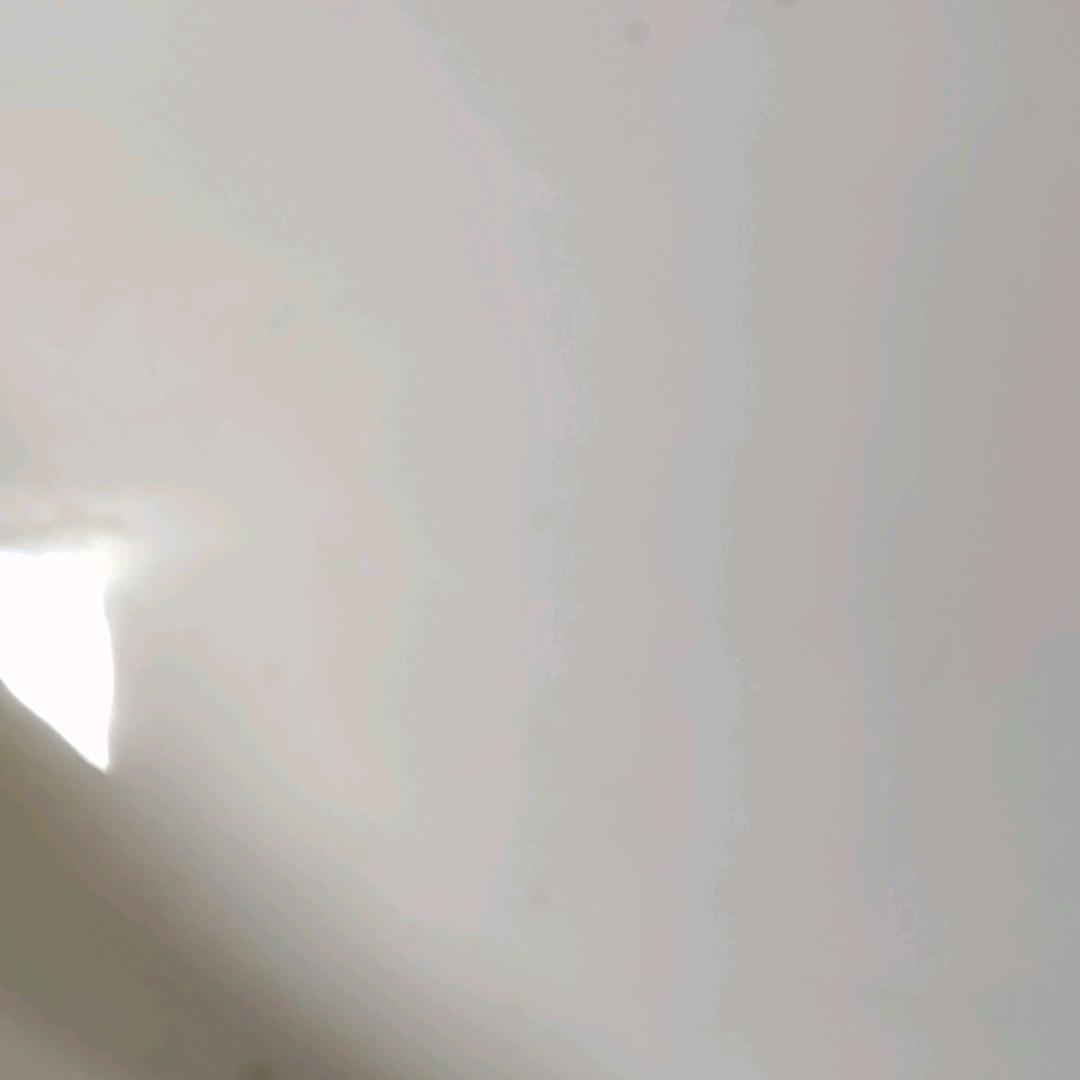 B崽子