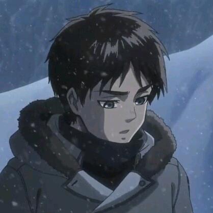 Kokke