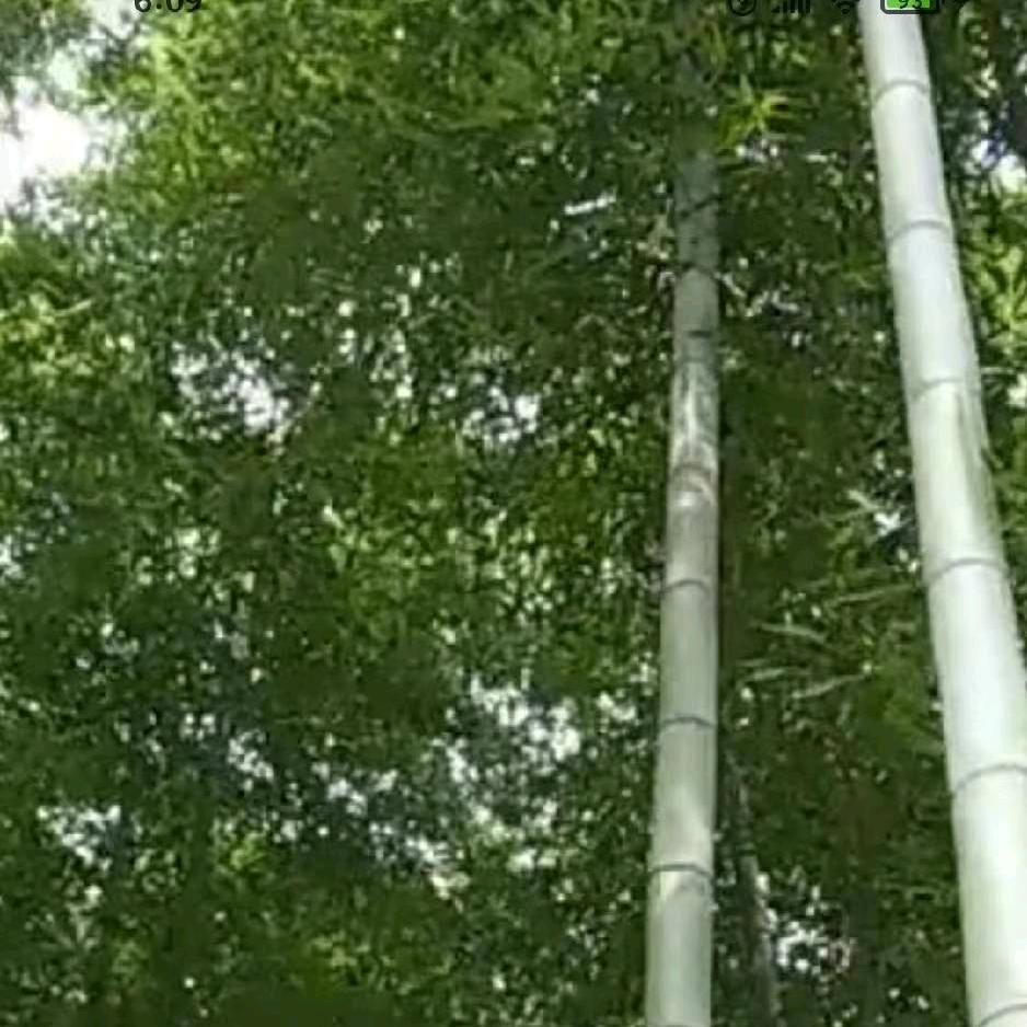 珍惜拥有，先锋