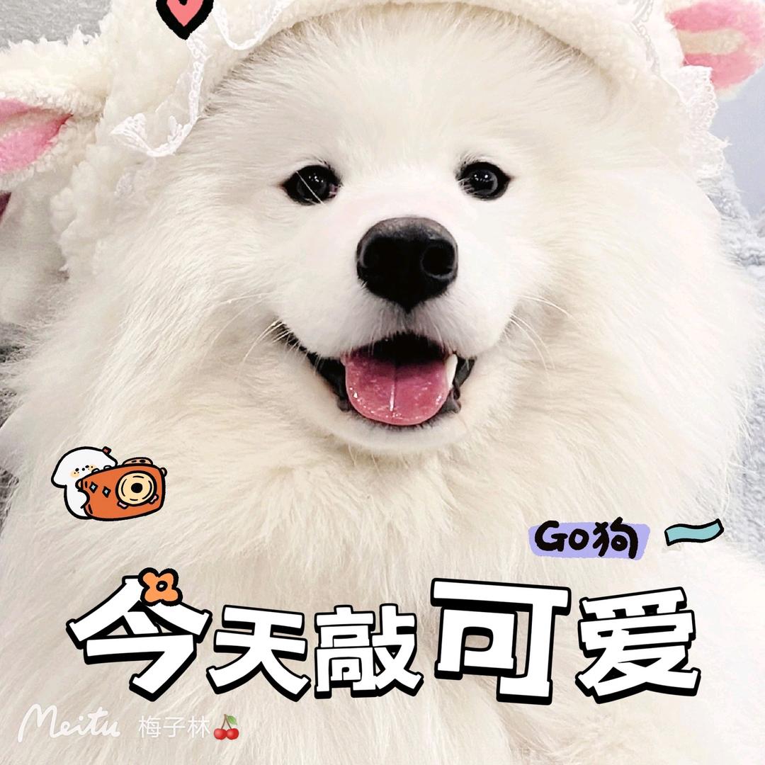 ❤仅此而已.★ ⋆