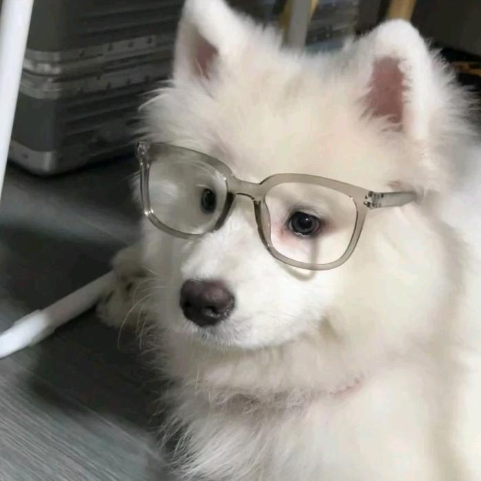 學乖