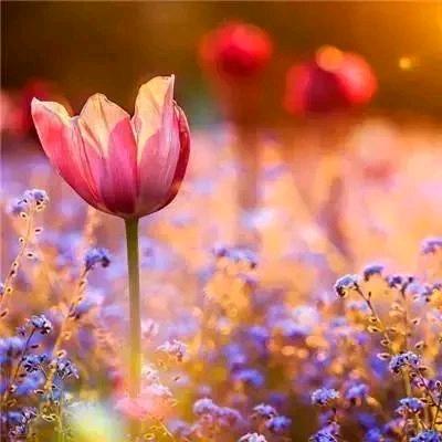 ❤️程良冀荣一餐厅~慧儿❤️