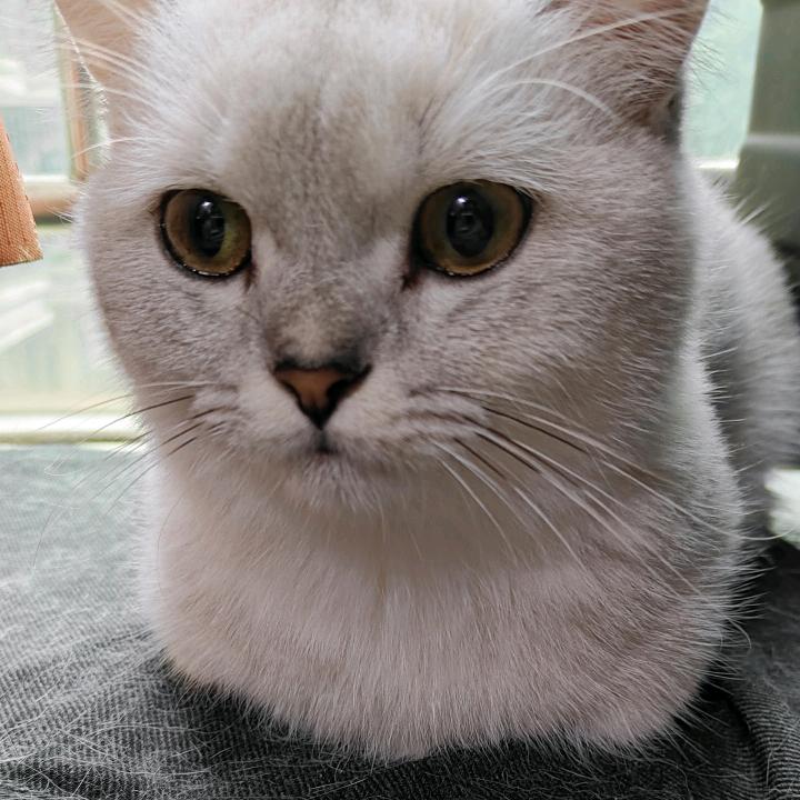 幺幺绫（诛仙世界）