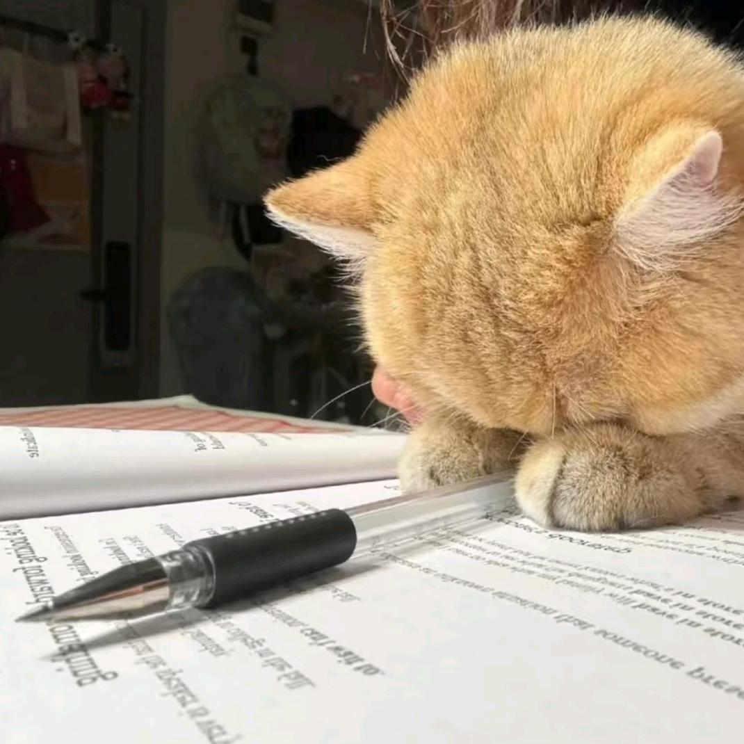 树的日记
