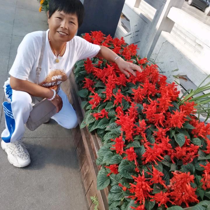 ☞加油☜