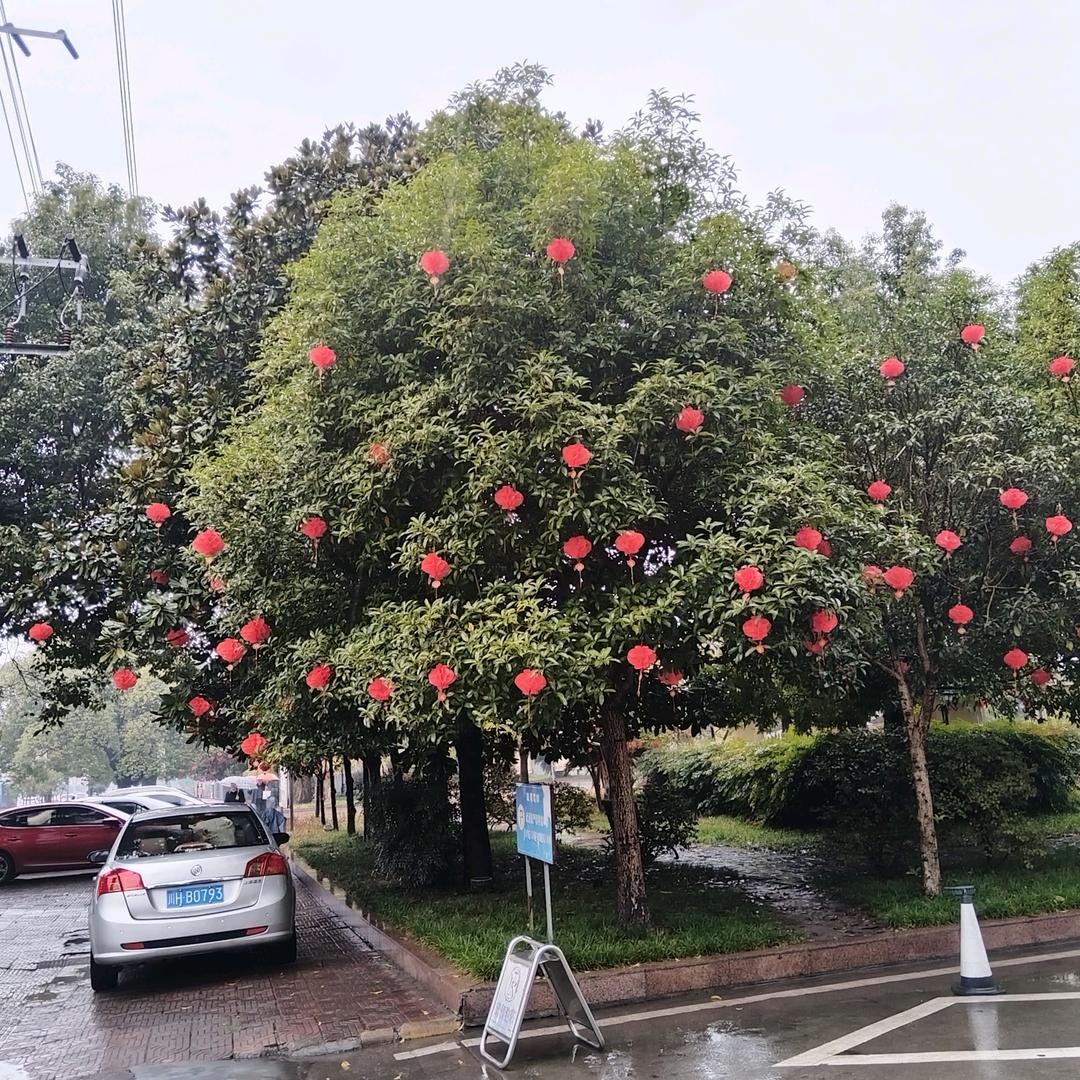尽质尽业