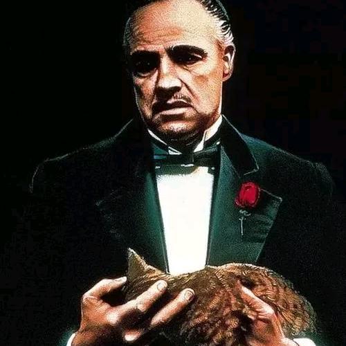 高考志愿桑老师