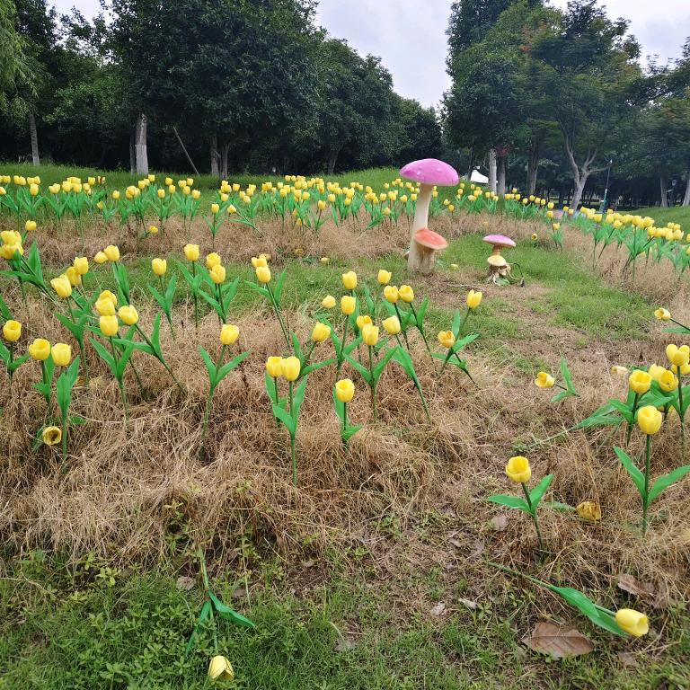 一叶知红🌺🌹