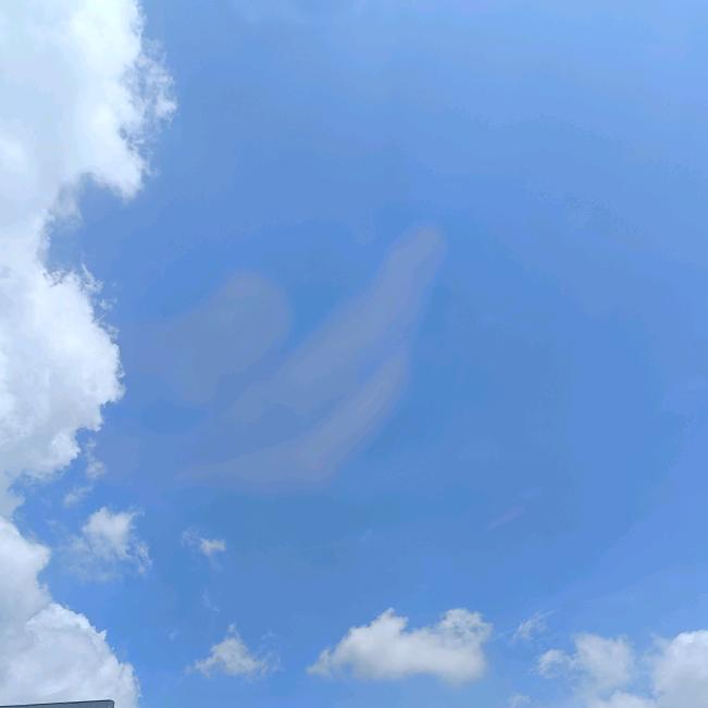 🕊往后余生ℒℴѵℯ
