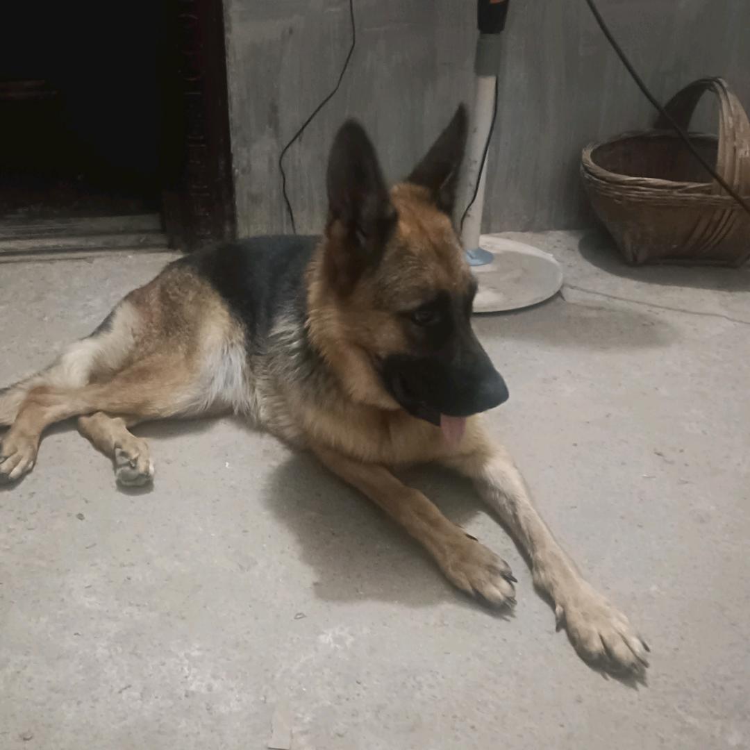 生活不易，必须努力