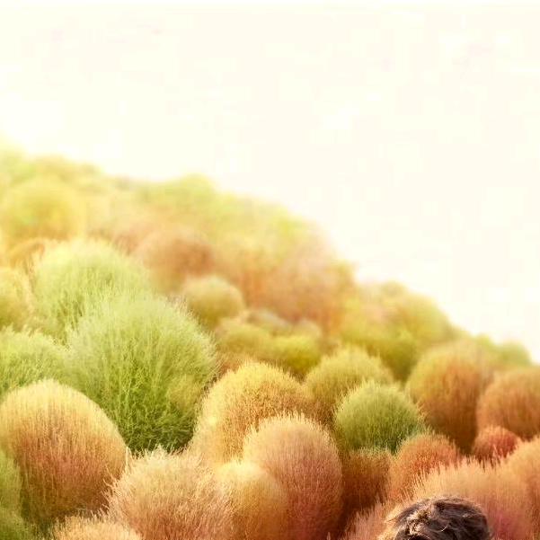 小梦鲜水果