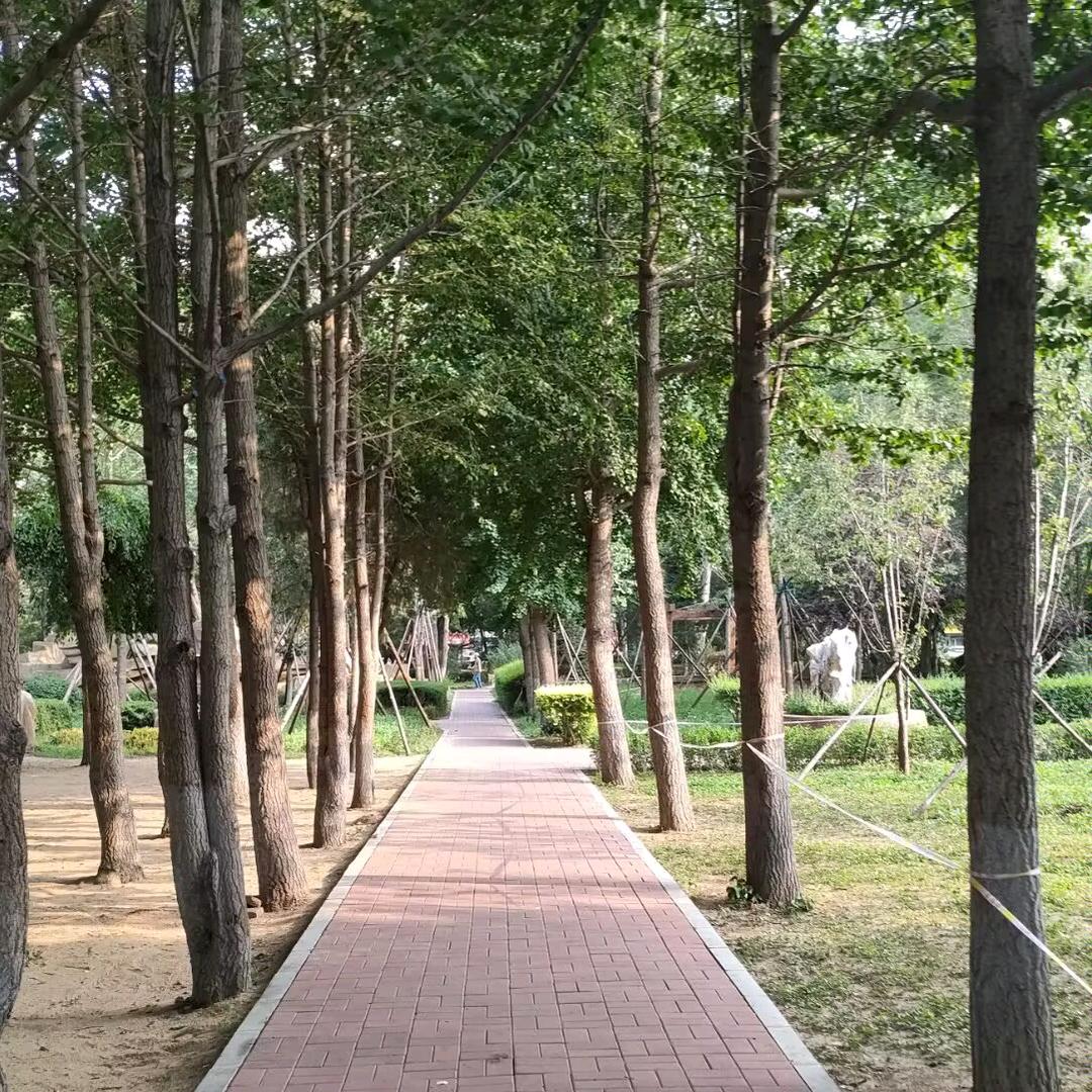 风很大