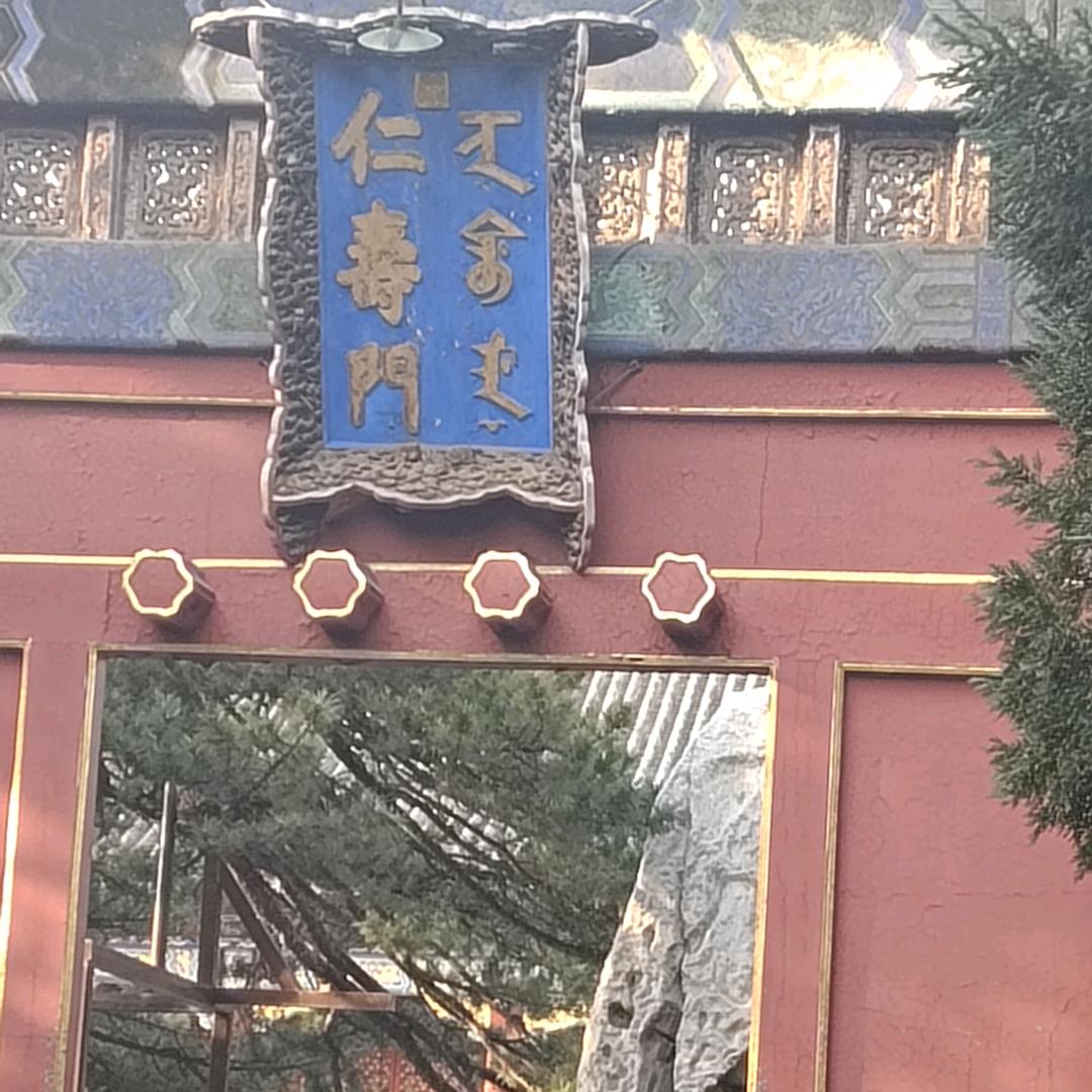 一样年华